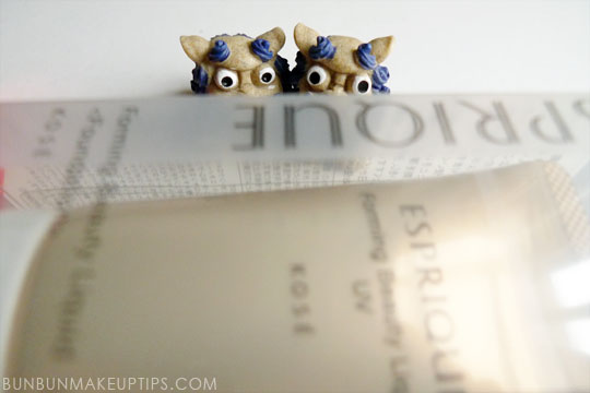Okinawa-Makeup-Haul_Shisa_1