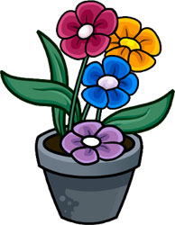 flower-pot