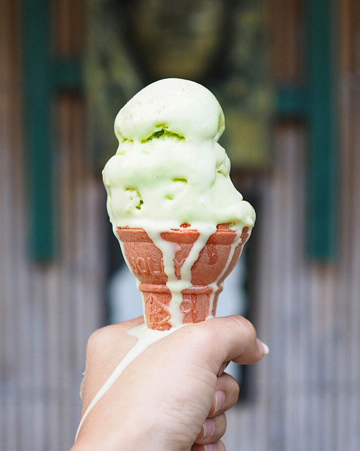 Things-To-Do-In-Davao_Crocodile-Ice-Cream