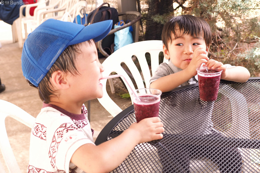 Yokohama-Blueberry-Farm-Harvest_4