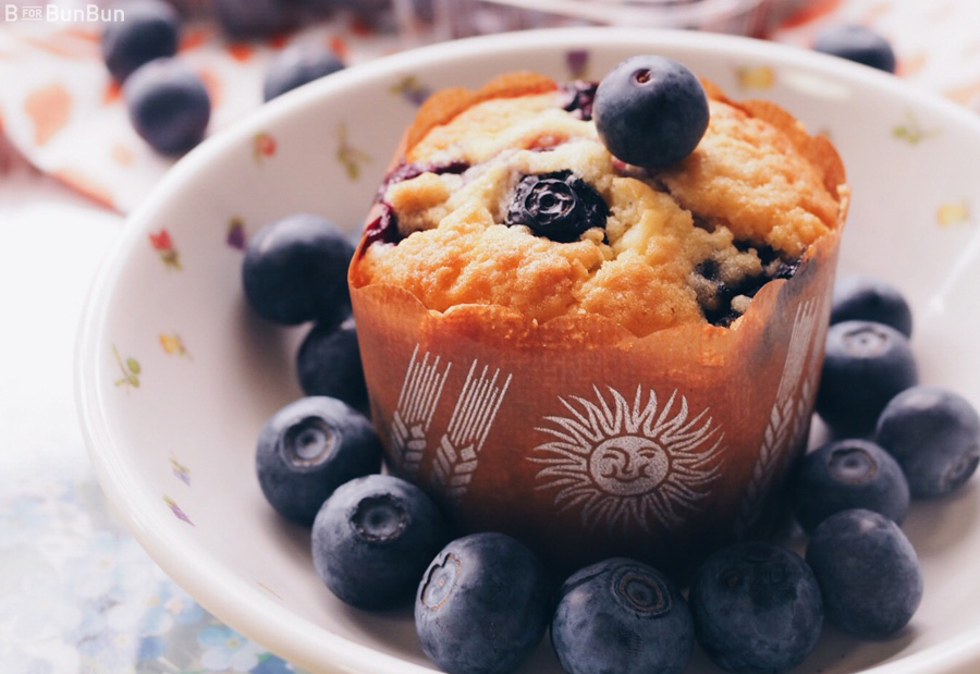 Yokohama-Blueberry-Farm-Harvest_9