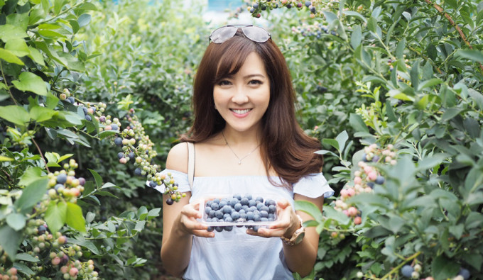 Yokohama-Blueberry-Farm-Harvest_13